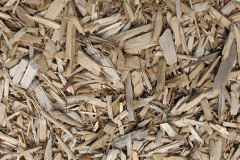 biomass boilers Trill
